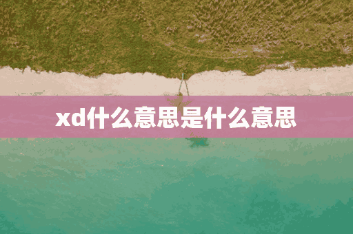 xd什么意思是什么意思(xd什么意思?)